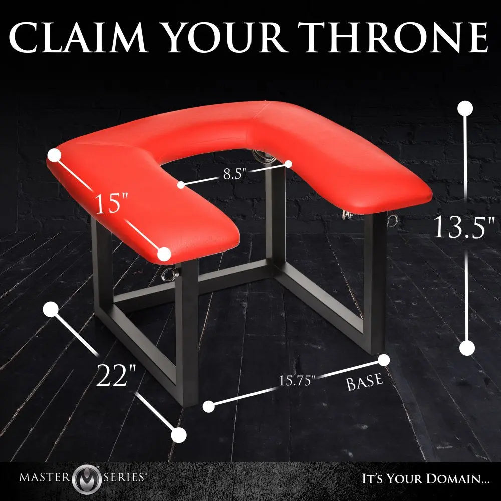 Face Rider Queening Chair BDSM Furniture Sex Dungeon Accessories  Dungeon Furniture and Accessories