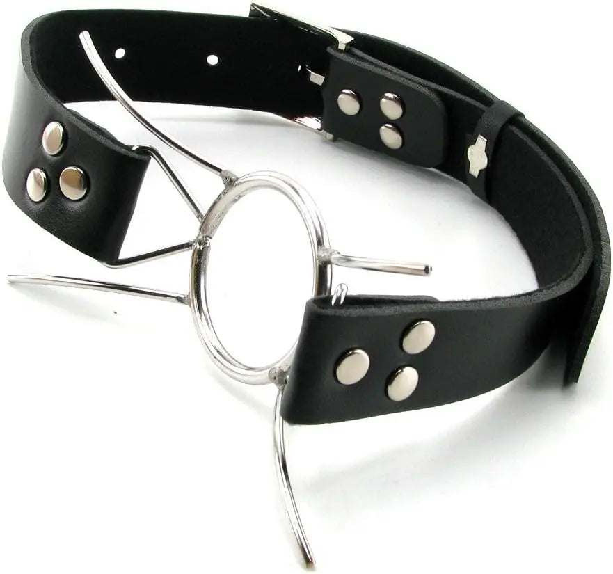 Fetish Fantasy Extreme Spider Gag  Masks, Gags and Blindfolds