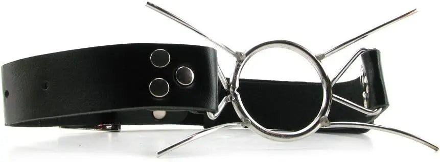 Fetish Fantasy Extreme Spider Gag  Masks, Gags and Blindfolds