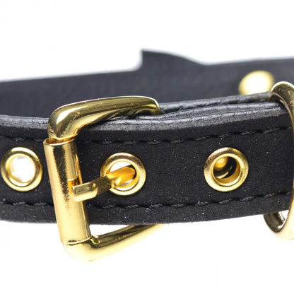 Golden Kitty Cat Bell Collar - Black/Gold BDSM Pet Collar  Collars and Leads
