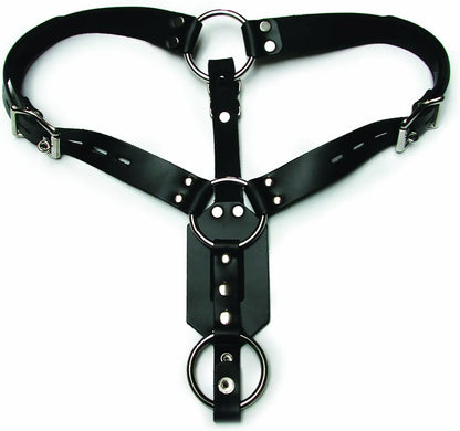 Kinklab Anal Plug Harness with Cock Ring  Harnesses