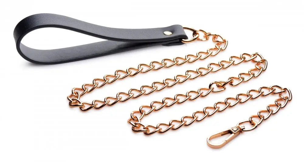 Leashed Lover Black and Gold Chain BDSM Leash  Bondage Gear