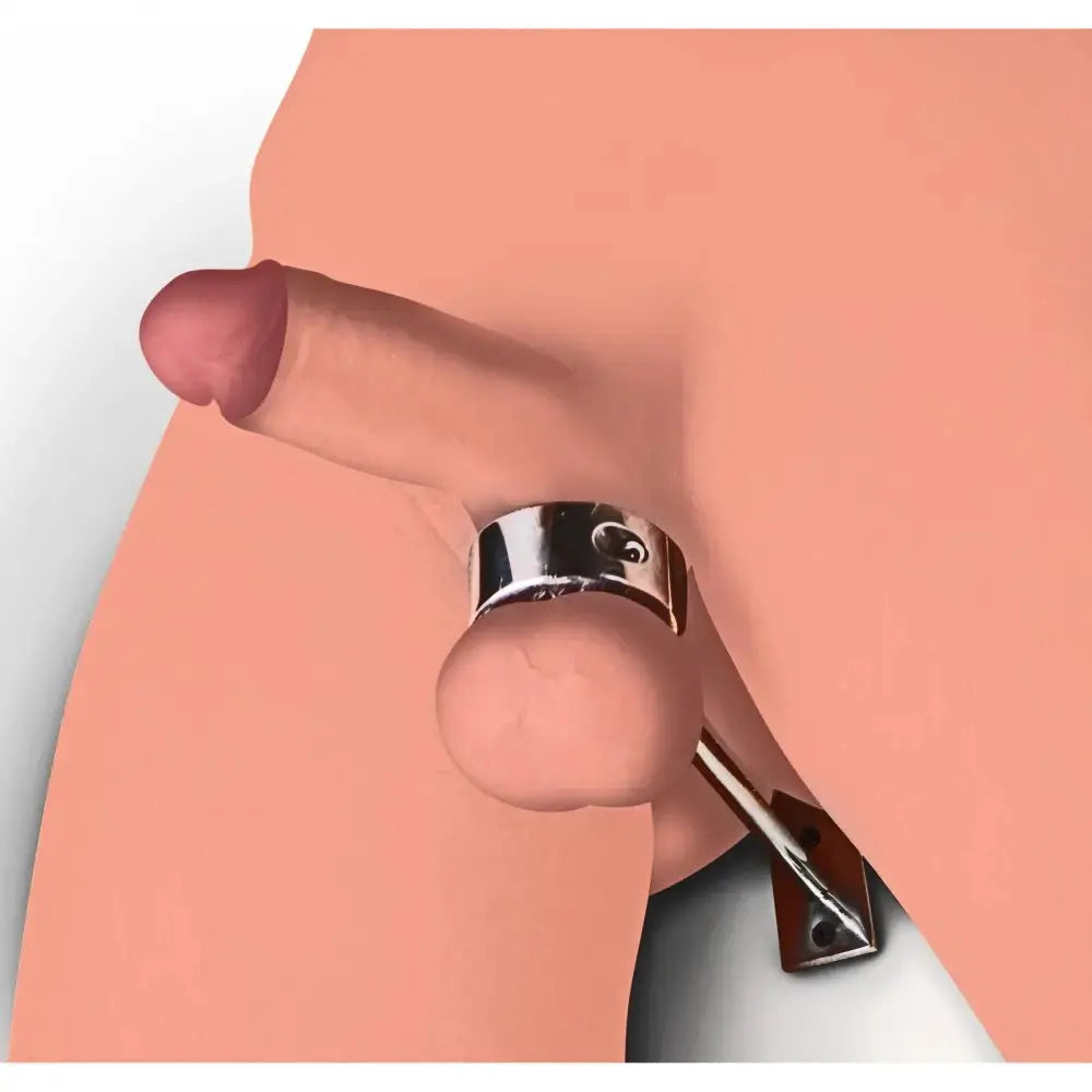 Locking Mounted CBT Scrotum Cuff with Bar Cock and Ball Torture  Cock and Ball Torture