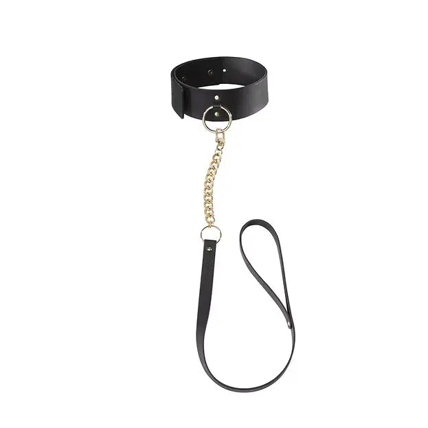 Luxury BDSM Collar with Lead | Bijoux Indiscrets Maze Choker with Leash  Collars and Leads