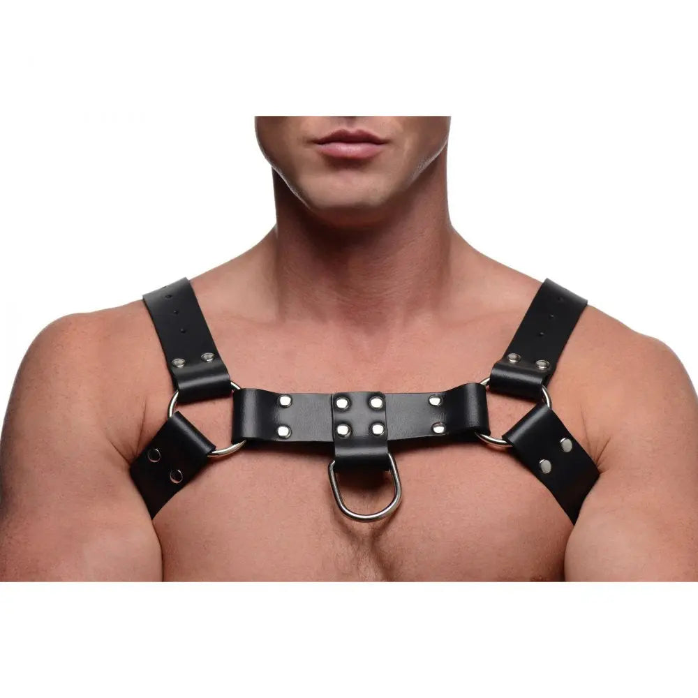 Male Leather Harness with Cock Ring English Bull Dog Harness with Cock Strap  Luxury Leather