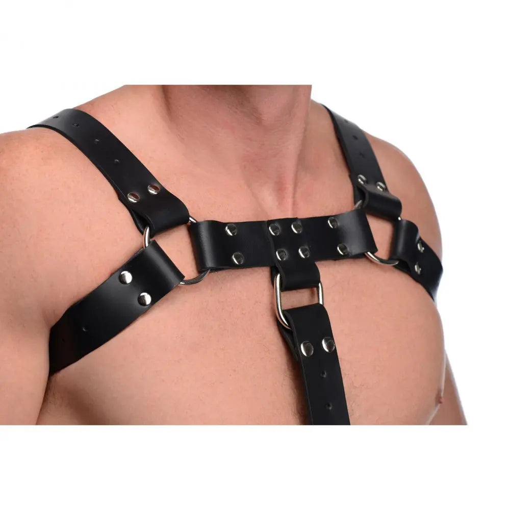 Male Leather Harness with Cock Ring English Bull Dog Harness with Cock Strap  Luxury Leather