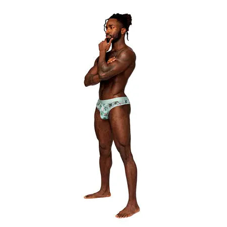 Male Power Sheer Prints Sheer Thong Flamingo S/M  Men - Underwear