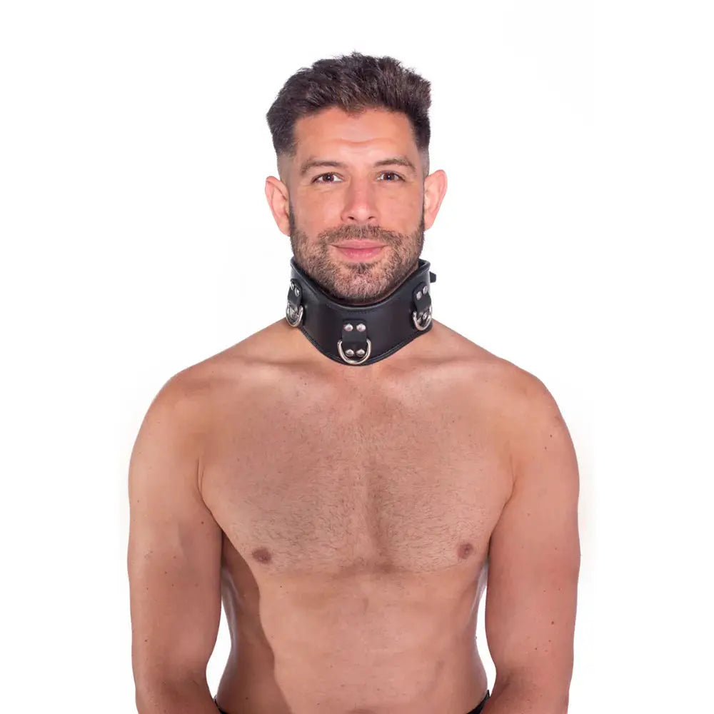 Male Submissive Collar Prowler Leather Posture Collar L/XL  Fetish - Cuffs & Restraints