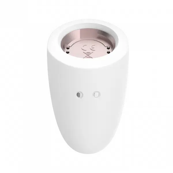 Marvelous Four  Vibrators