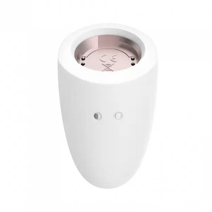 Marvelous Four  Vibrators