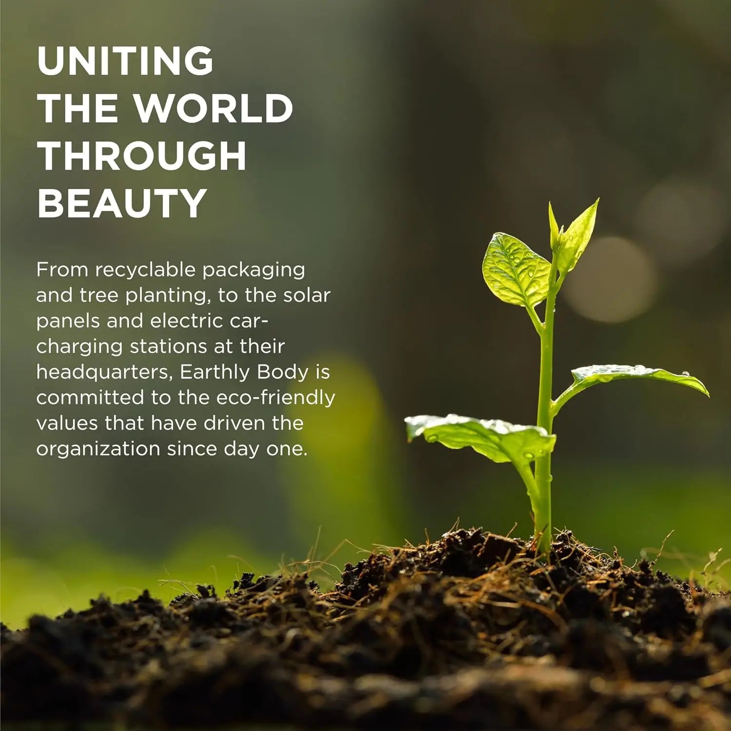 Massage Candle Romantic Gift Trio  Lubes, Lotions and Accessories