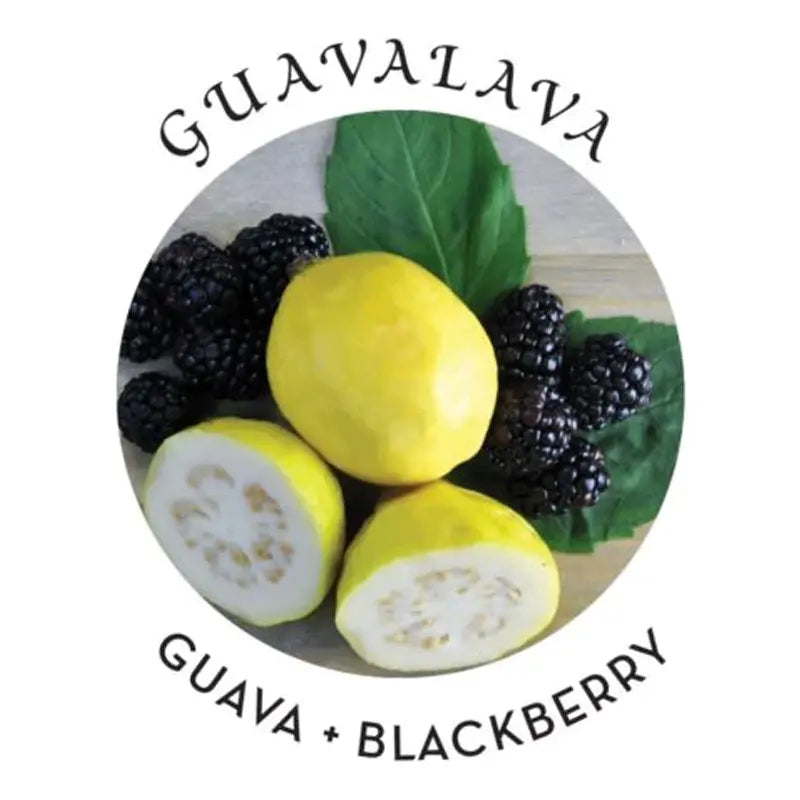 Massage Oil Guavalava 2 fl oz / 60 ml  Lubes, Lotions and Accessories