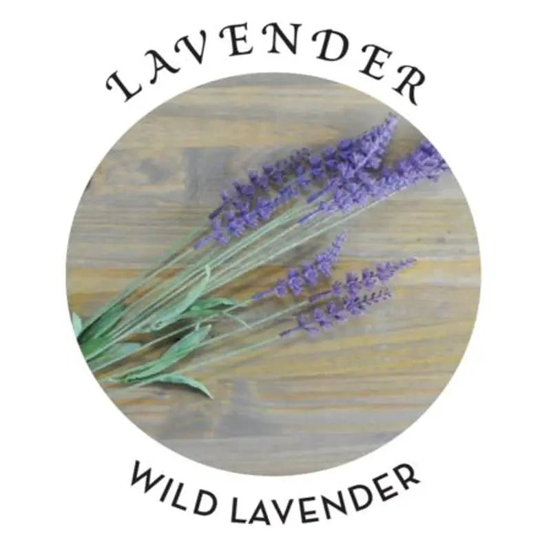Massage Oil Lavender Scent 2 fl oz / 60 ml  Lubes, Lotions and Accessories