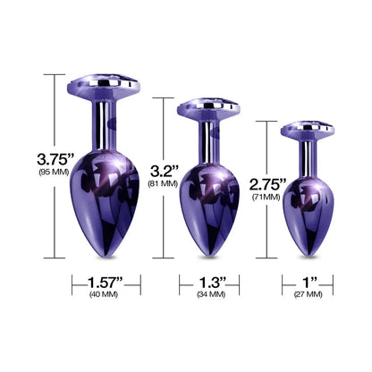 Metal Butt Plug Set Anal Trainer Kit 3-Piece Purple Metallic  Anal Training