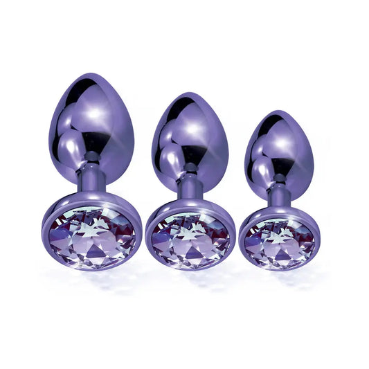 Metal Butt Plug Set Anal Trainer Kit 3-Piece Purple Metallic  Anal Training