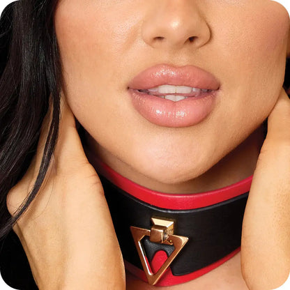 Milan Collection BDSM Collar with Bondage Leash  Collars and Leads