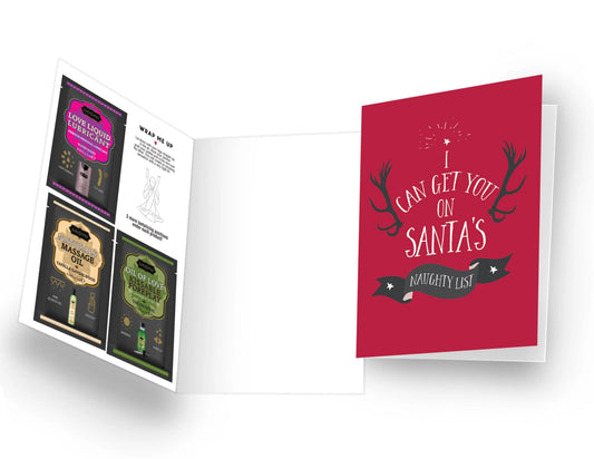 Naughty Notes I Can Get You On Santa's Naughty List  Accessories / Miscellaneous
