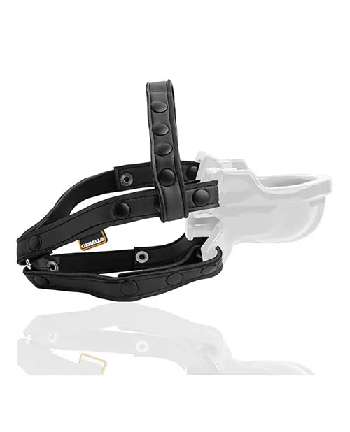 Oxballs Watersport Strap on Gag - BDSM Funnel Gag White  Masks, Gags and Blindfolds