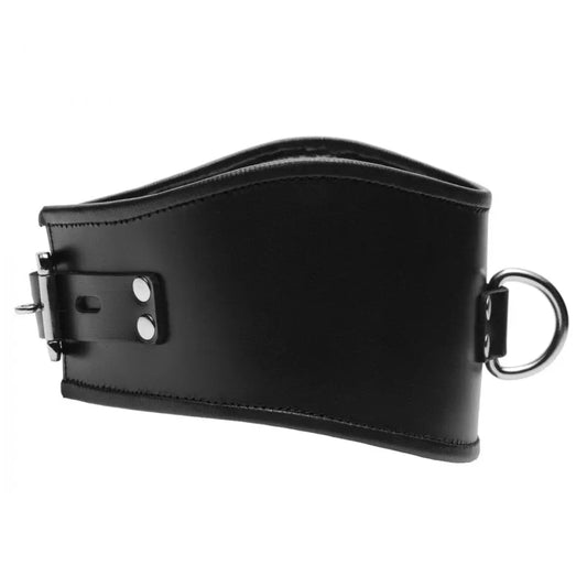 Padded Leather Locking Posture Collar BDSM Sub Collar  Jewelry