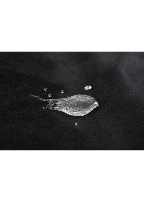 Pivot Protector  BDSM