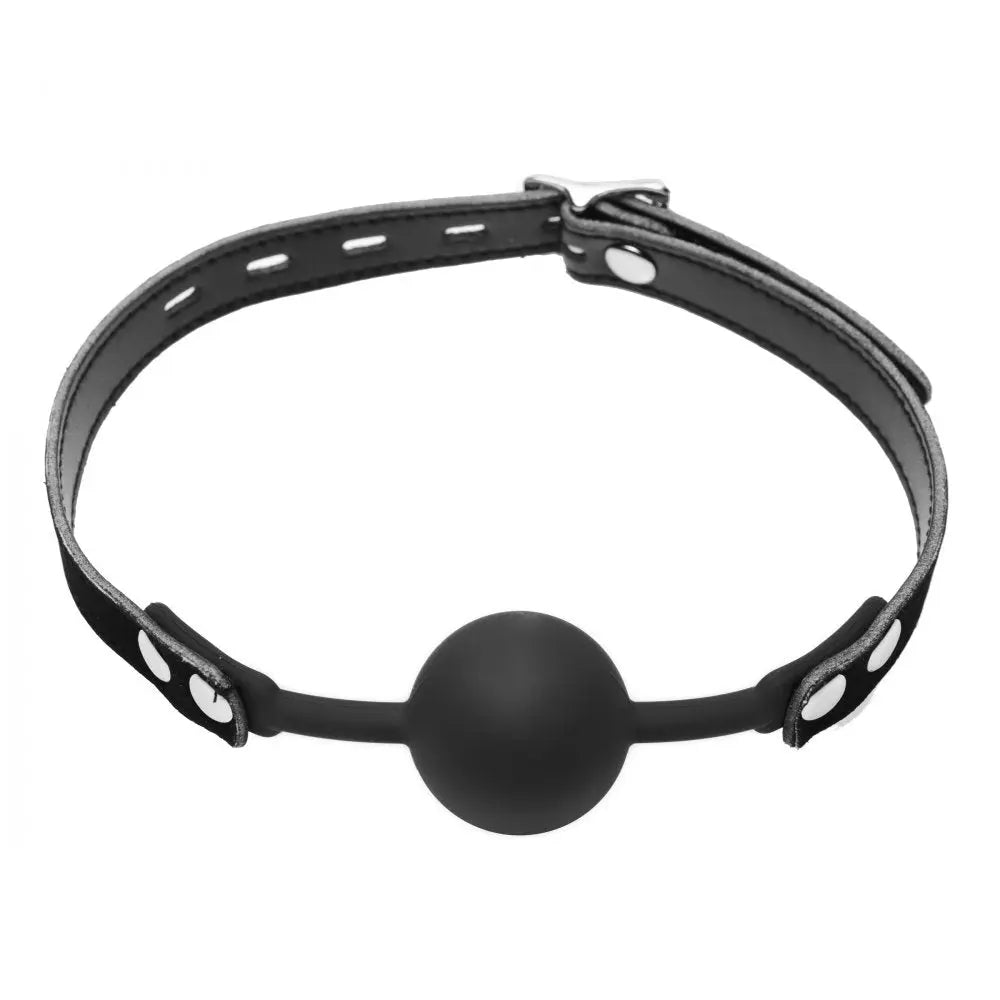 Premium Hush Locking Ball Gag Silicone Comfort BDSM Gag  Masks, Gags and Blindfolds