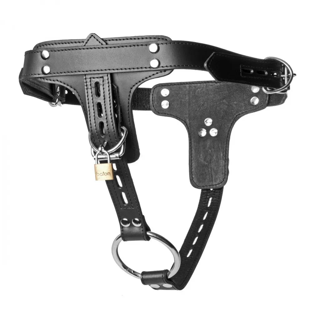 Premium Locking Leather Cock Ring and Anal Plug Bondage Harness  Strap-Ons and Harnesses