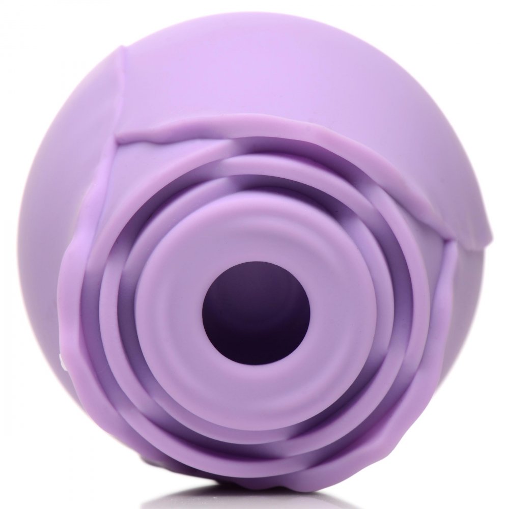 Purple Toy Target - Wild Rose Sex Toy 10X Suction Clit Stimulator  Nipple and Clit Toys