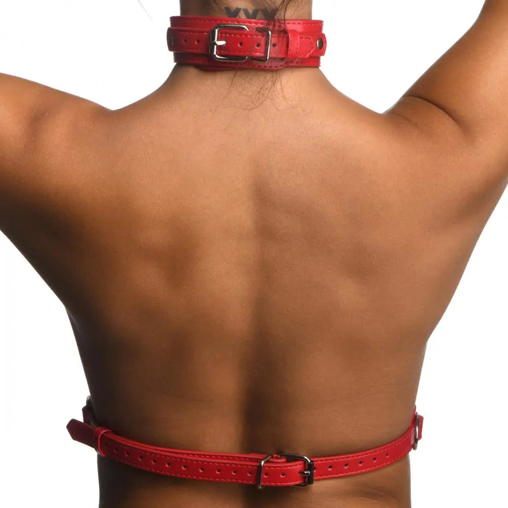 Red Female Chest Bondage Harness- Small/Medium  Fetish Clothing and Lingerie