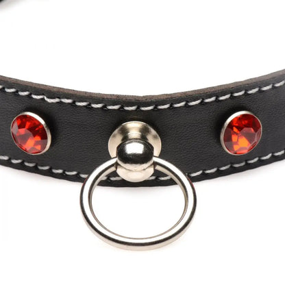 Rhinestone Bondage Choker with O-Ring - Black and Red BDSM Collar  Fetish Clothing and Lingerie
