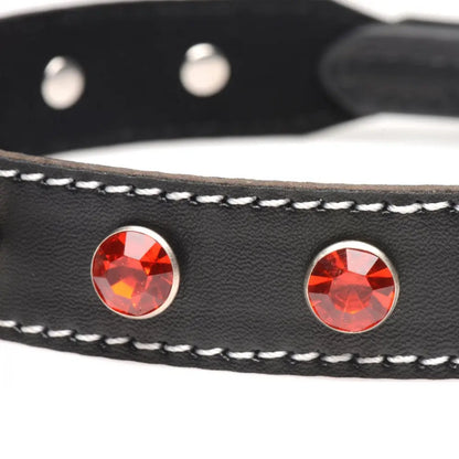 Rhinestone Bondage Choker with O-Ring - Black and Red BDSM Collar  Fetish Clothing and Lingerie