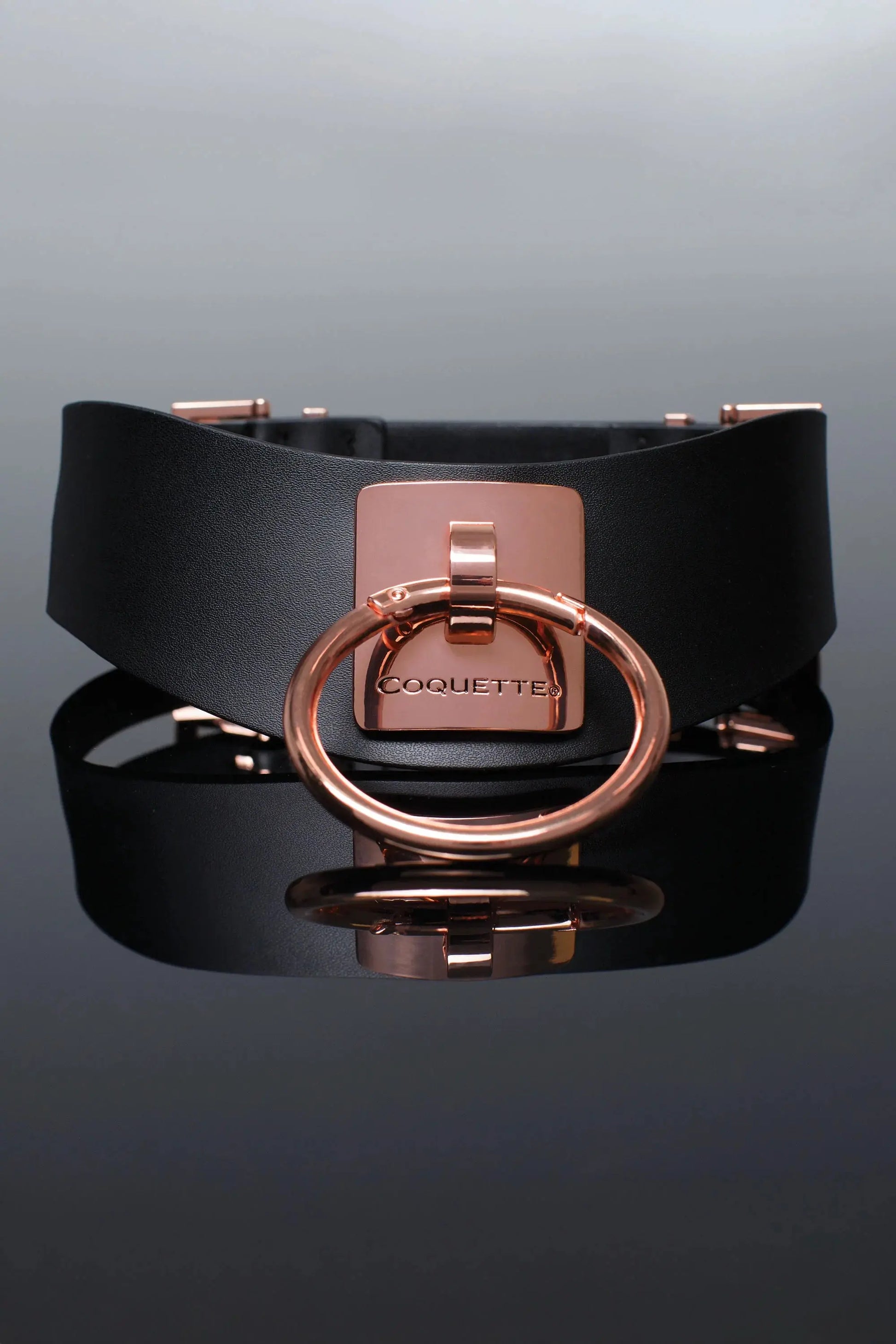 Rose Gold BDSM Collar Bondage Choker  Bondage Gear