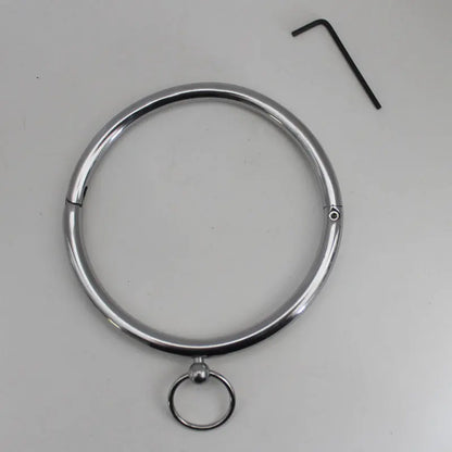 Rouge Stainless Steel Collar  Fetish - Cuffs & Restraints