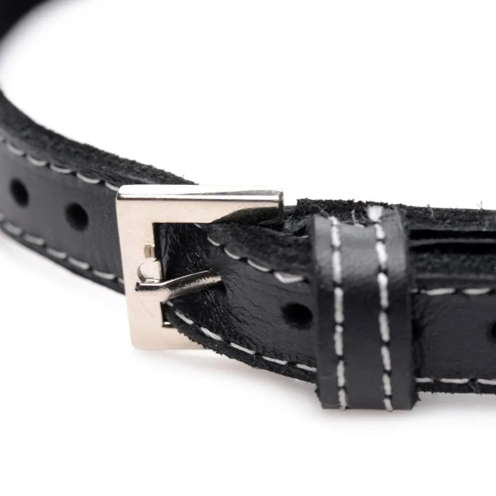 Royal Vixen Leather BDSM Choker with Rhinestones - Purple Bondage Collar  Fetish Clothing and Lingerie