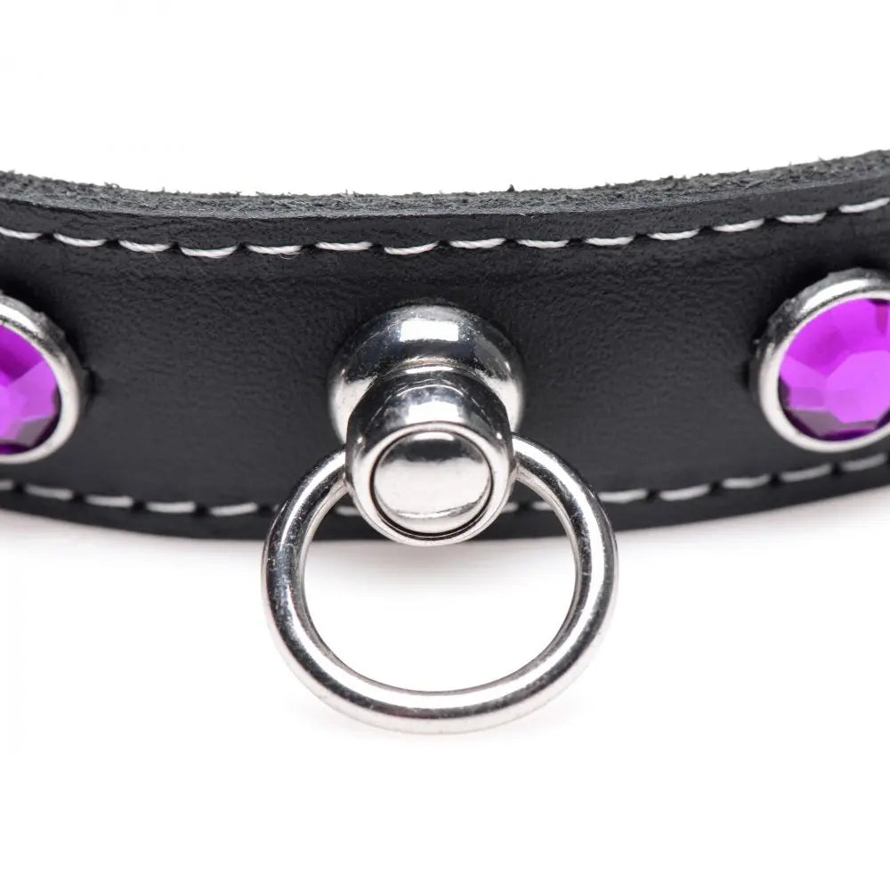 Royal Vixen Leather BDSM Choker with Rhinestones - Purple Bondage Collar  Fetish Clothing and Lingerie