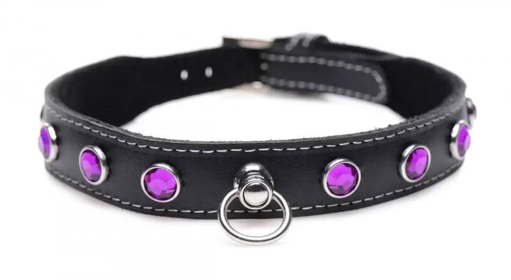 Royal Vixen Leather BDSM Choker with Rhinestones - Purple Bondage Collar  Fetish Clothing and Lingerie