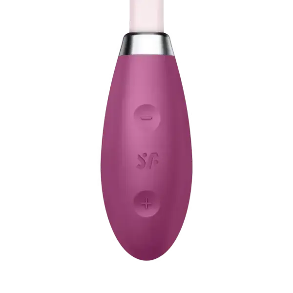 Satisfyer G-Spot Flex 3 – Flexible G-Spot Vibrator Sex Toy for Women  G-Spot Vibrator