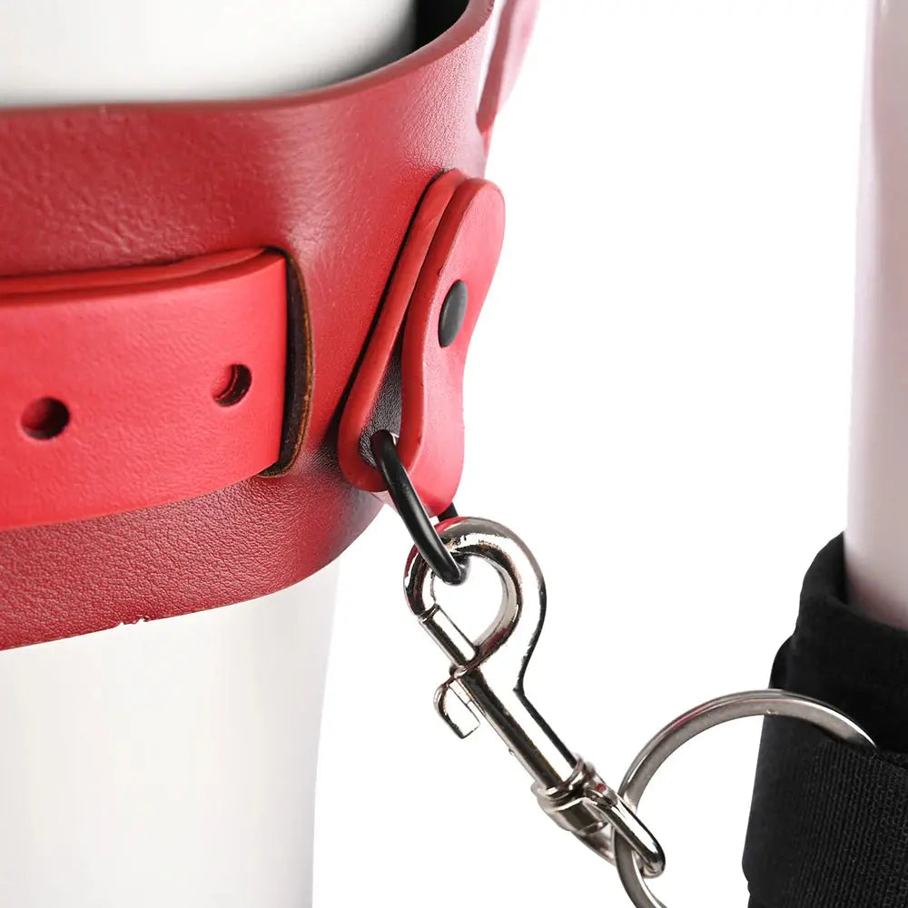 Sex and Mischief Bondage Belt with Restraints Exs and Ohs Bound and Belted  Fetish - Cuffs & Restraints