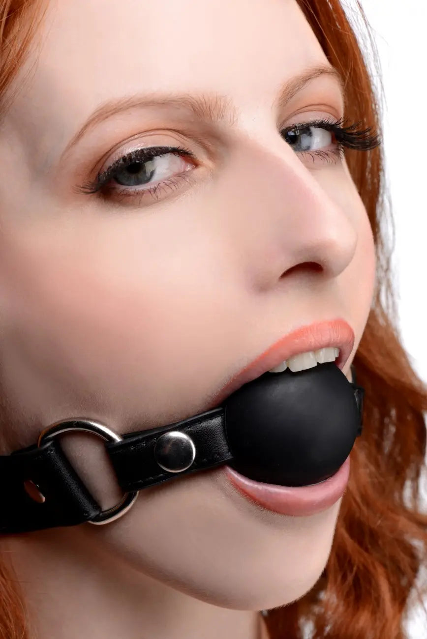 Silicone Interchangeable Ball Gag Set BDSM Training Gags  Masks, Gags and Blindfolds