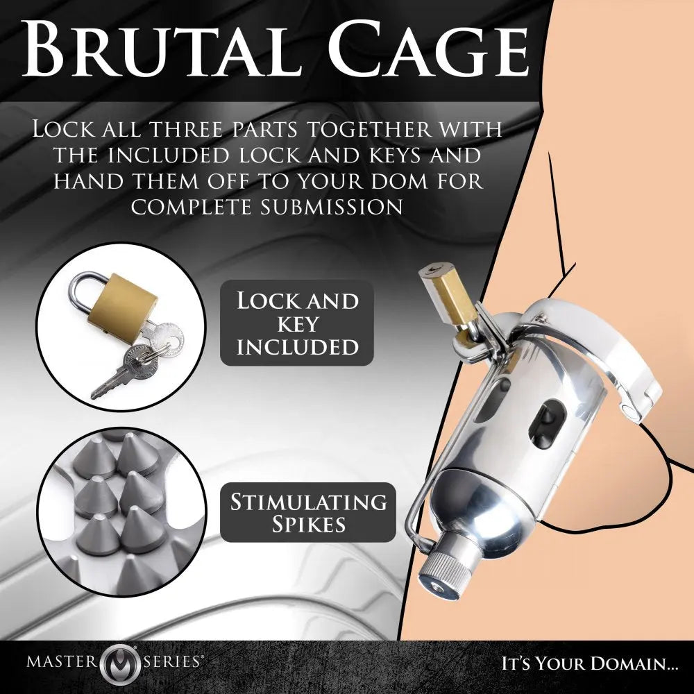 Spiked Chamber Chastity Cage Femdom Cock Cage  Chastity