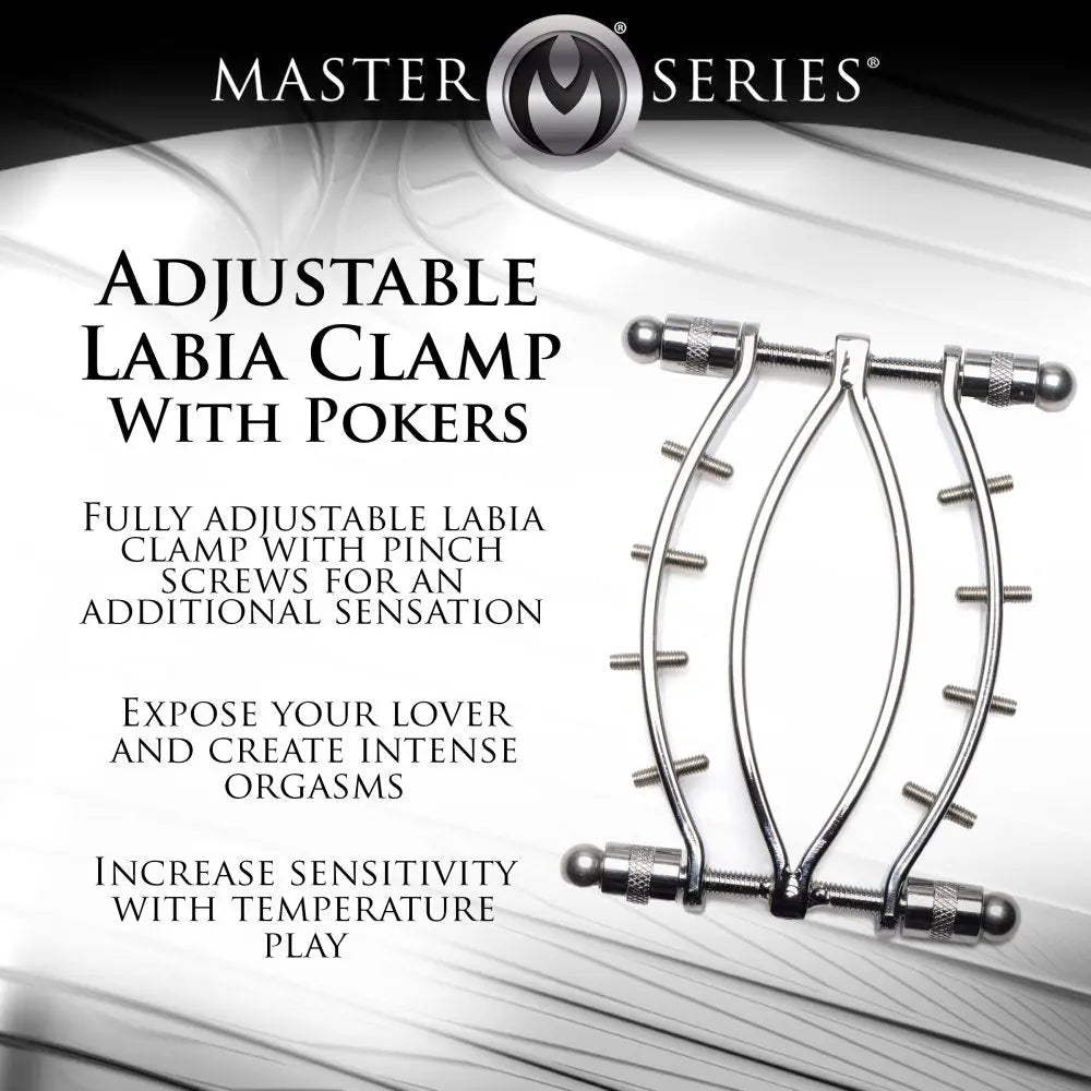 Spread Em Stainless Steel Poker Labia Clamp with Adjustable Pressure Screws  Bondage Gear