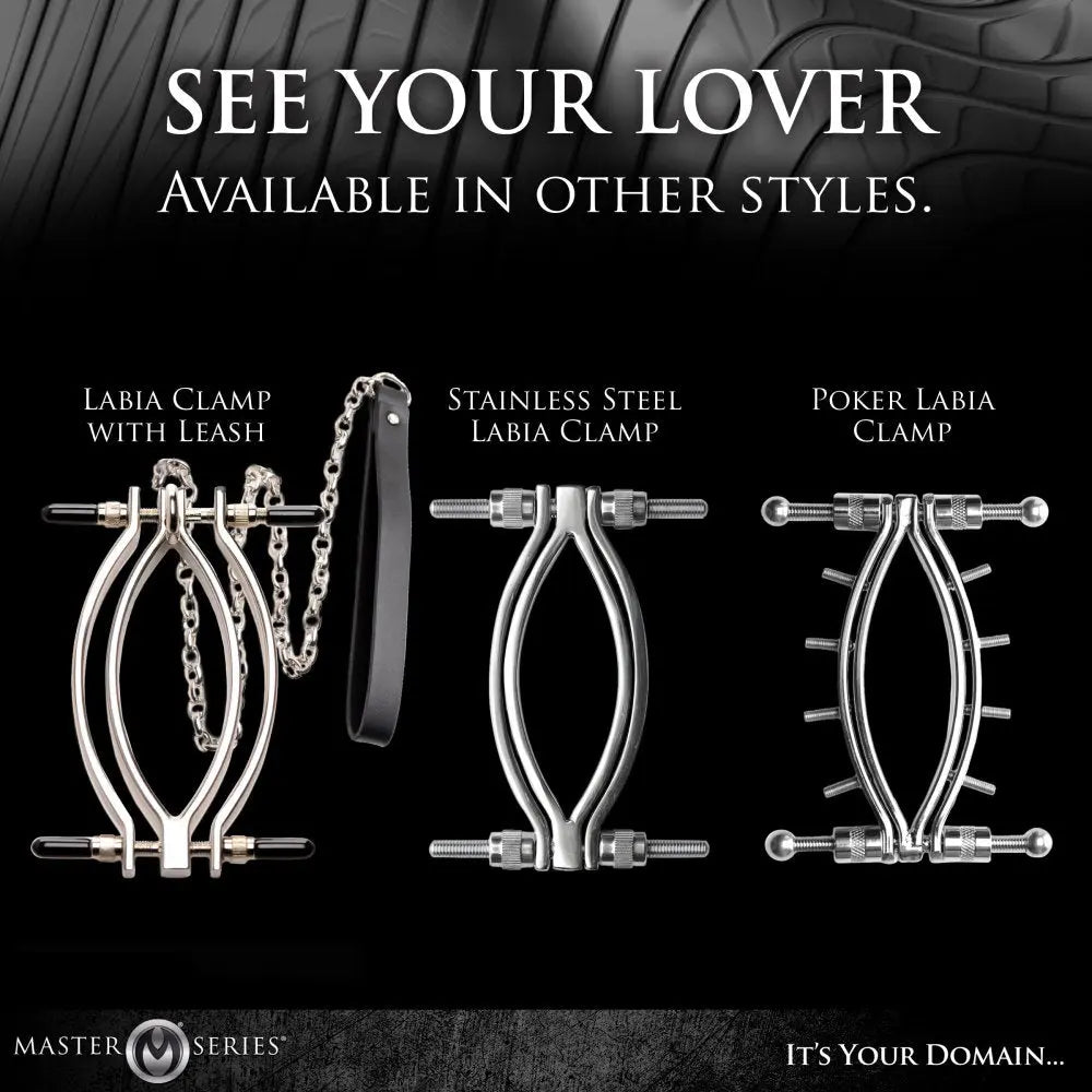 Spread Em Stainless Steel Poker Labia Clamp with Adjustable Pressure Screws  Bondage Gear