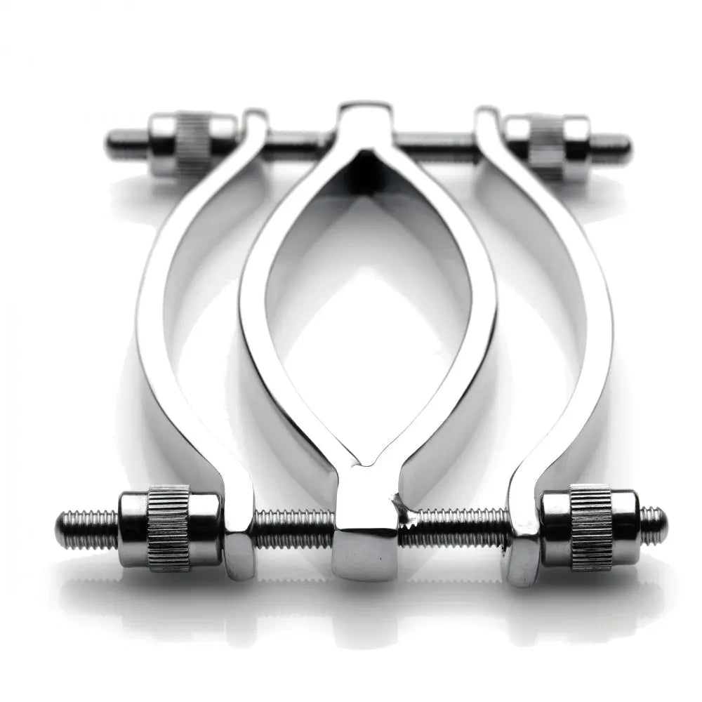 Stainless Steel Adjustable Pussy Clamp BDSM Labia Clamp Medical Bondage  Bondage Gear