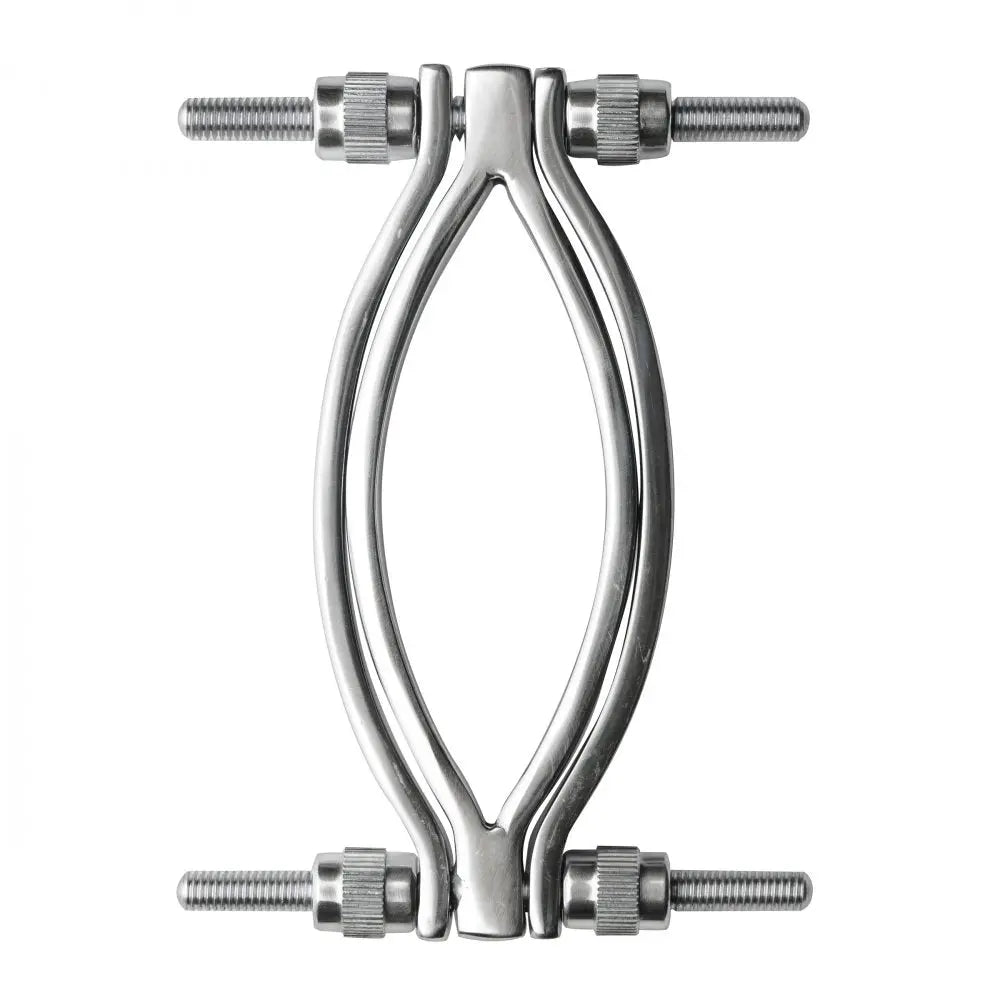 Stainless Steel Adjustable Pussy Clamp BDSM Labia Clamp Medical Bondage  Bondage Gear