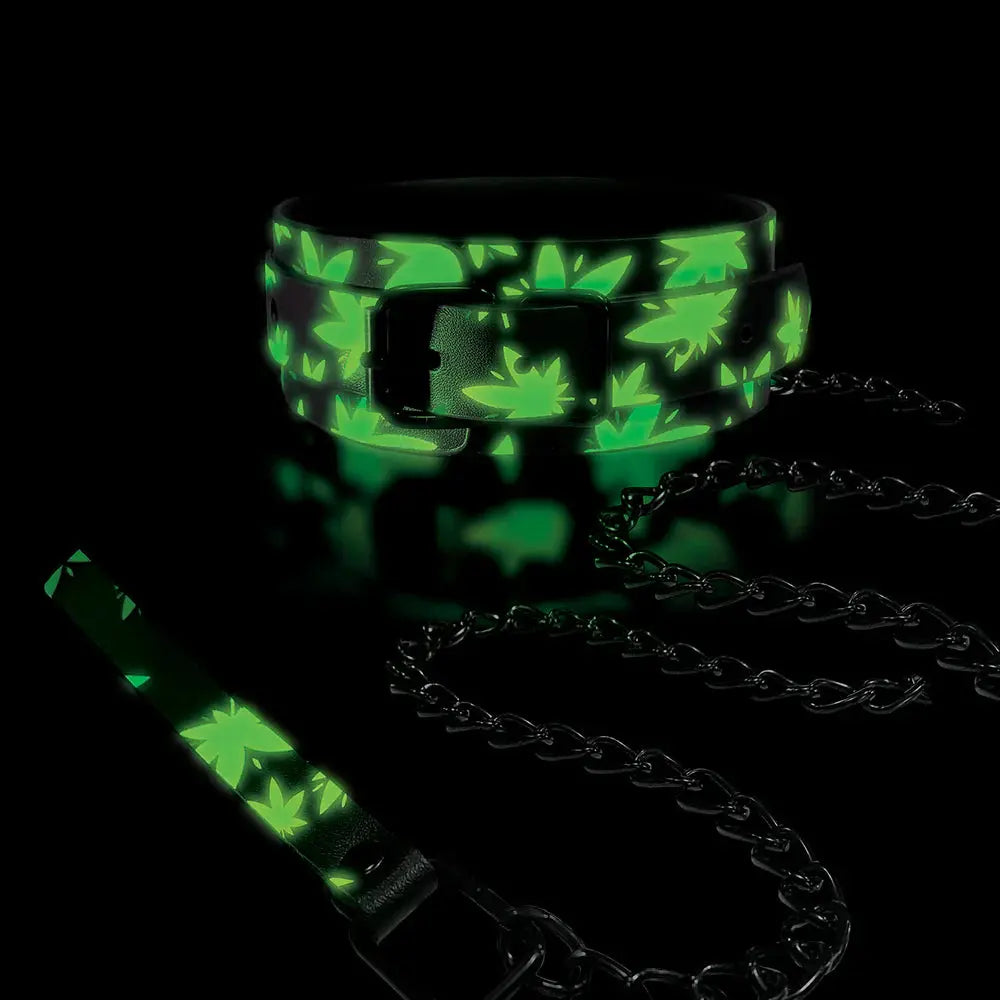 Stoner Vibes Chronic Collection Glow in the Dark Collar and Leash  Collars and Leads