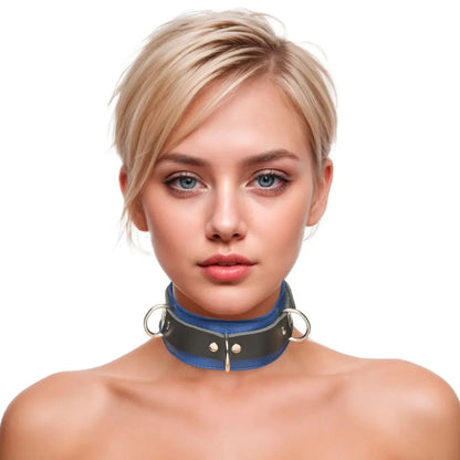 Strict Leather Deluxe Locking BDSM Collar - Blue and Black Leather Bondage Collar  Collars and Leads