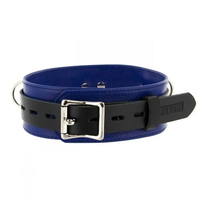 Strict Leather Deluxe Locking BDSM Collar - Blue and Black Leather Bondage Collar  Collars and Leads