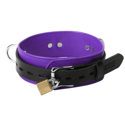 Strict Leather Deluxe Locking Purple Leather BDSM Collar - Purple and Black  Collars and Leads