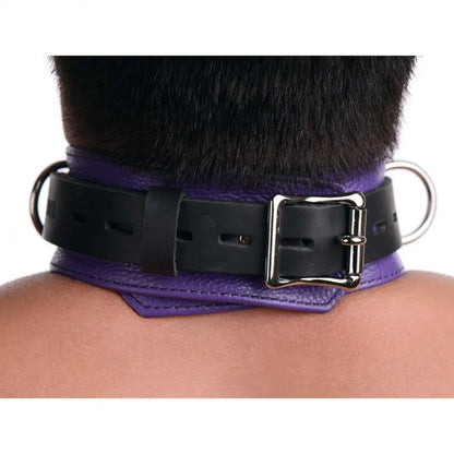 Strict Leather Deluxe Locking Purple Leather BDSM Collar - Purple and Black  Collars and Leads