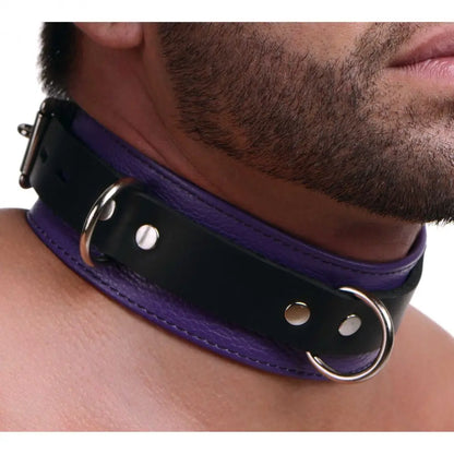Strict Leather Deluxe Locking Purple Leather BDSM Collar - Purple and Black  Collars and Leads