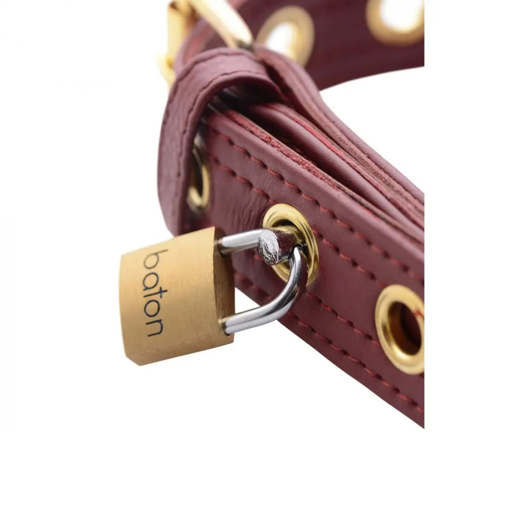 Strict Leather Luxury Bondage Collar Burgundy Locking Collar  Bondage Gear